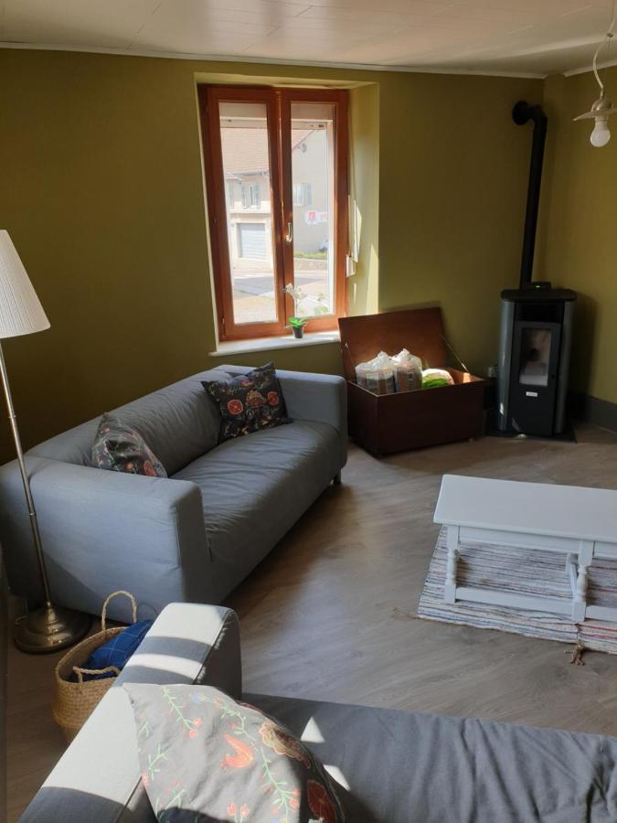 Au Pied Du Gazon Apartment Saint-Maurice-sur-Moselle Luaran gambar
