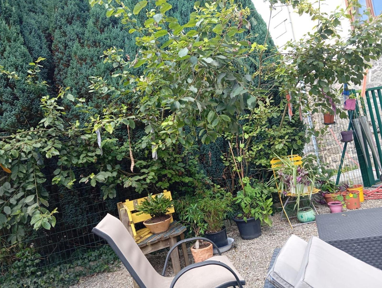 Au Pied Du Gazon Apartment Saint-Maurice-sur-Moselle Luaran gambar
